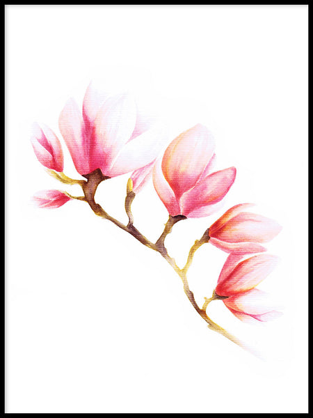 Poster: Magnolia, av Sofie Rolfsdotter