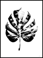 Poster: Monstera Leaf, av Utgångna produkter