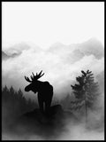 Poster: Moose, av Utgångna produkter