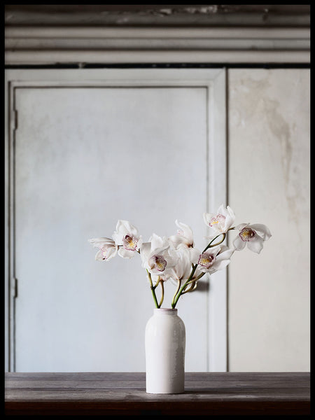 Poster: Orchid, av Kim Fristedt Malmberg