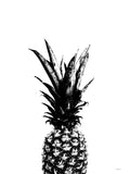 Poster: Pineapple, av Utgångna produkter