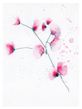 Poster: Pink Leaves, av Utgångna produkter