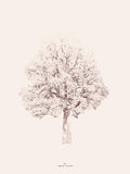 Poster: Pink Tree, av Utgångna produkter