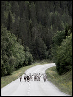 Poster: Reindeer road, av EMELIEmaria