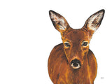 Poster: Roe Deer, av Stefanie Jegerings