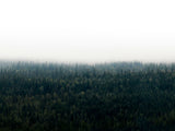 Poster: Skogar i dimma I, av EMELIEmaria