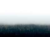 Poster: Skogar i dimma II, av EMELIEmaria