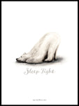 Poster: Sleep Tight (Polar bear), av Ekkoform illustrations