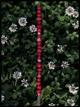 Poster: Smultron på strå_Wild strawberries, av EMELIEmaria