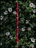 Poster: Smultron på strå_Wild strawberries, av EMELIEmaria