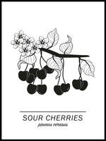 Poster: Sour Cherries, av Paperago