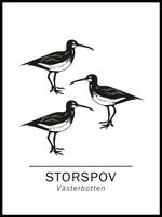Poster: Storspov västerbottens landskapsdjur, av Paperago
