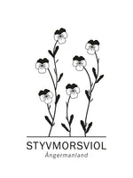 Poster: Styvmorsviol, Ångermanlands landskapsblomma, av Paperago