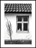 Poster: FALSTERBONÄSET - Katten i fönstret, av A chapter 5 - Caro-lines