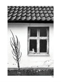Poster: FALSTERBONÄSET - Katten i fönstret, av A chapter 5 - Caro-lines