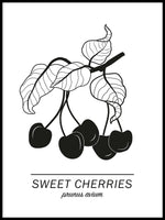 Poster: Sweet Cherries, av Paperago