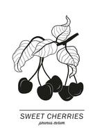 Poster: Sweet Cherries, av Paperago
