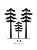 Poster: Tall, Hälsinglands landskapsblomma, av Paperago