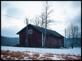 Poster: The empty barn, av Susanne Snaar