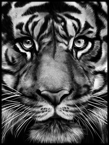Poster: Tiger, av Gabriella Roberg