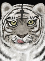 Poster: Tiger, av Utgångna produkter