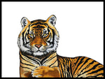 Poster: Tiger, av Stefanie Jegerings