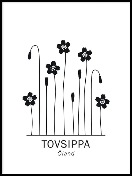 Poster: Tovsippa, Ölands landskapsblomma, av Paperago