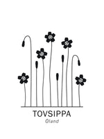 Poster: Tovsippa, Ölands landskapsblomma, av Paperago
