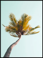 Poster: Tropical 7, av Susanne Snaar