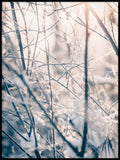 Poster: Vinterns magi, av Fotograf Ulrica