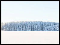 Poster: Vinterskog, av EMELIEmaria