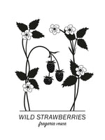Poster: Wild Strawberries, av Paperago