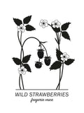 Poster: Wild Strawberries, av Paperago