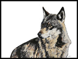 Poster: Wolf, av Stefanie Jegerings